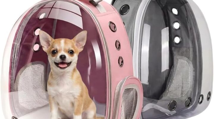 Produtos essenciais para viajar com pet de carro ou avião com segurança